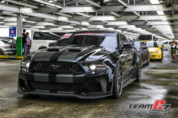 RACING STRIPES PAINT