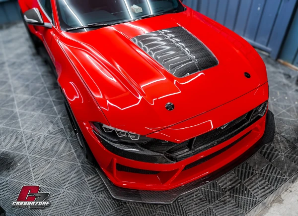 DARK HORSE